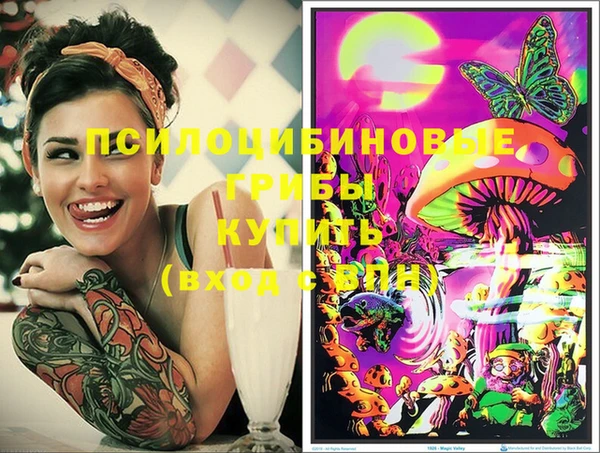 первитин Белокуриха