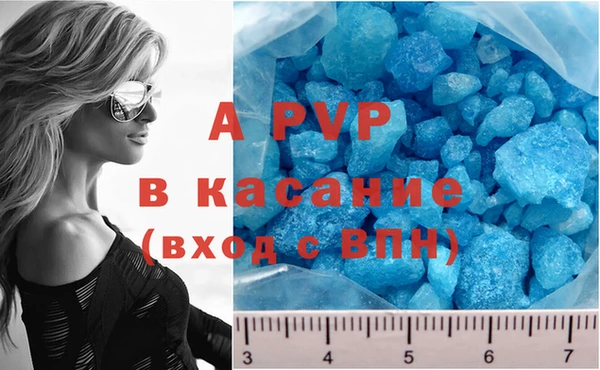 молекула духа Ростов