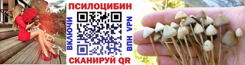 OMG зеркало  Пионерский  Псилоцибиновые грибы мухоморы 