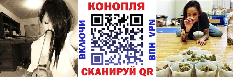 Канабис Bruce Banner  Пионерский 